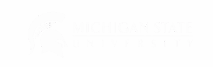 Michigan State Logo